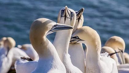 开云体育平台-节奏混乱时球员应如何优先选择防守站位，节奏型控卫的球鞋