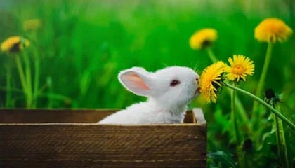 开云体育平台-节奏混乱时球员应如何优先选择防守站位，节奏型控卫的球鞋