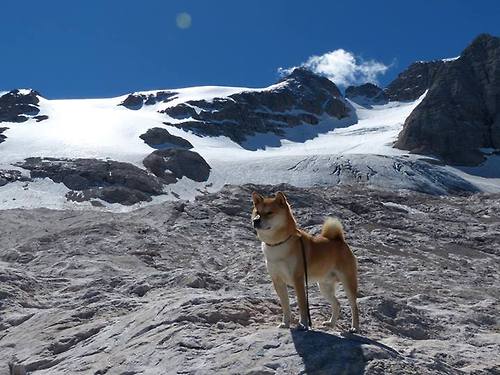 后卫如何在快节奏中找到内线传球窗口，后卫怎么传球给中锋