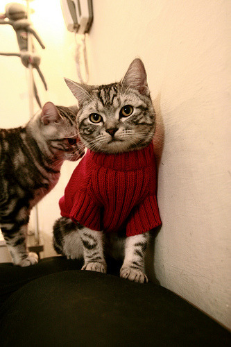 中小学篮球课程增加防守技术讲解强化基础能力，小学生篮球防守教学